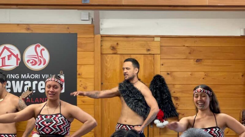 From AKL: Living MAORI Village, Haka Dance & BLUE Springs - Key Points