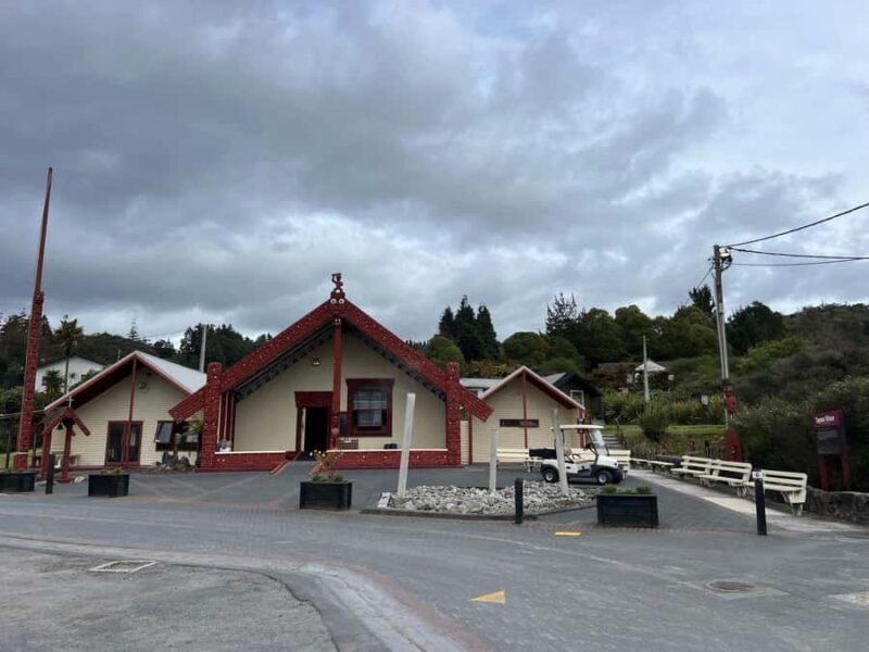 From AKL: Living MAORI Village, Haka Dance & BLUE Springs - Introduction: An Authentic Slice of Maori Culture with Natural Wonders