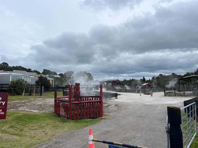 From AKL: Living MAORI Village, Haka Dance & BLUE Springs - Price and Value