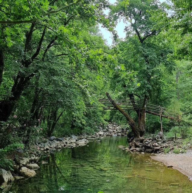 From Alanya: Quad/ATV Safari Tour - The Sum Up