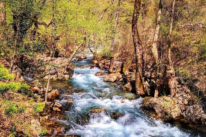 From Alanya & Side: Sapadere Canyon Tour - Who Will Love This Tour?