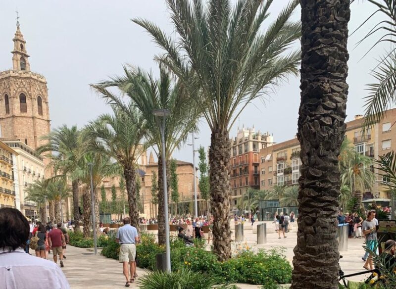 From Albir, Altea, Benidorm & Calpe: Valencia City Excursion - Key Points