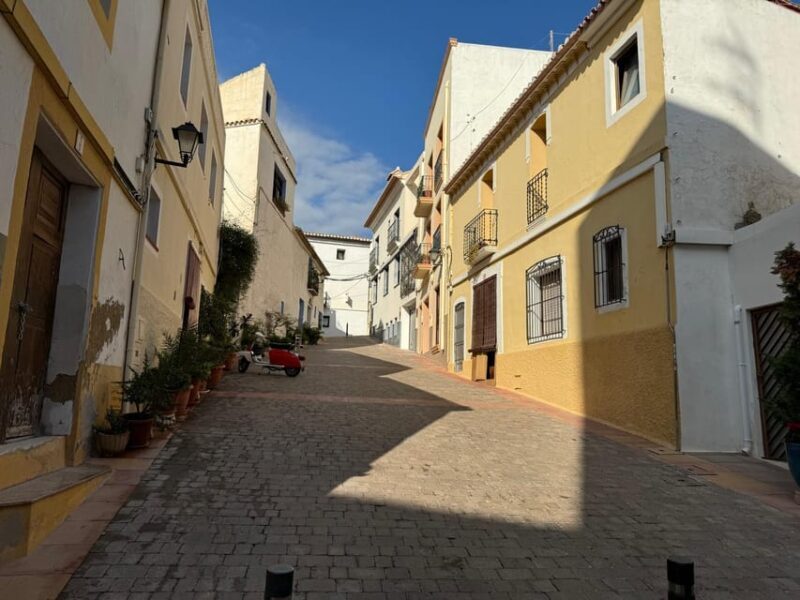 From Albir & Benidorm: Calpe Old Town and Port Day Trip - The Journey from Benidorm to Calpe