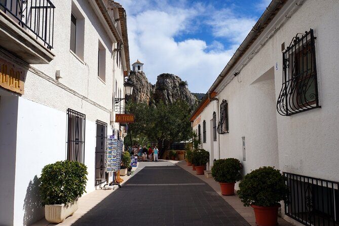 From Albir & Benidorm: Guadalest Village Excursion - Who Would Love This Tour?