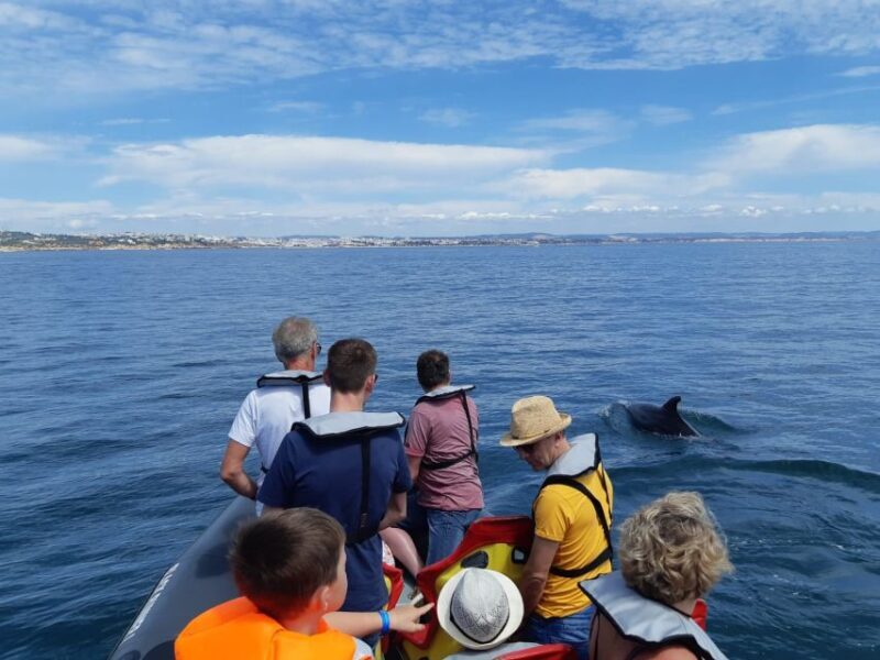 From Albufeira: Benagil Caves and Dolphins Guided Boat Tour - Practical Details and Tips for Travelers