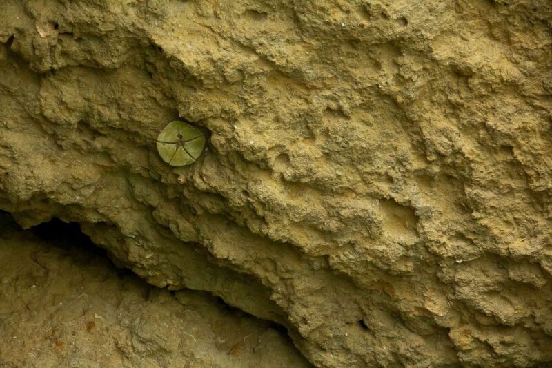 From Albufeira: Benagil Caves Excursion by Boat Private - Navigating the Perfect Algarve Caves Trip