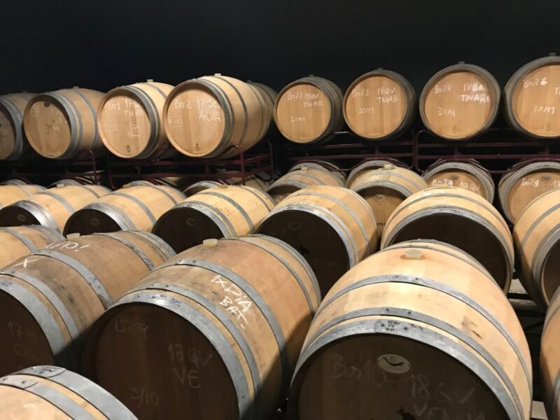 From Albufeira: Full-Day Wine Tasting Tour with a Guide - Key Points