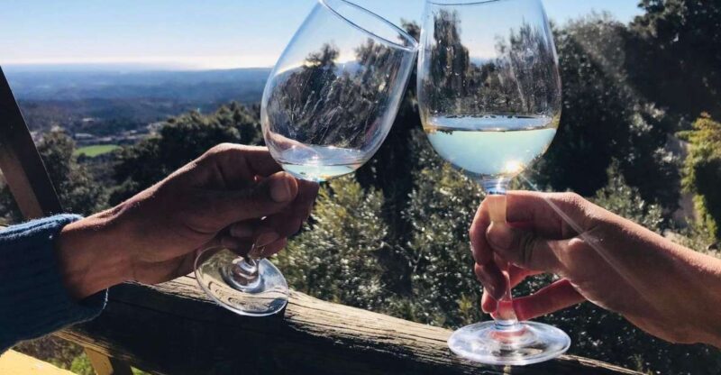 From Albufeira: Full-Day Wine Tasting Tour with a Guide - An In-Depth Look at the Tour Experience