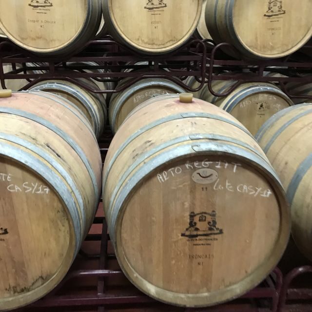 From Albufeira: Full-Day Wine Tasting Tour with a Guide - Final Words