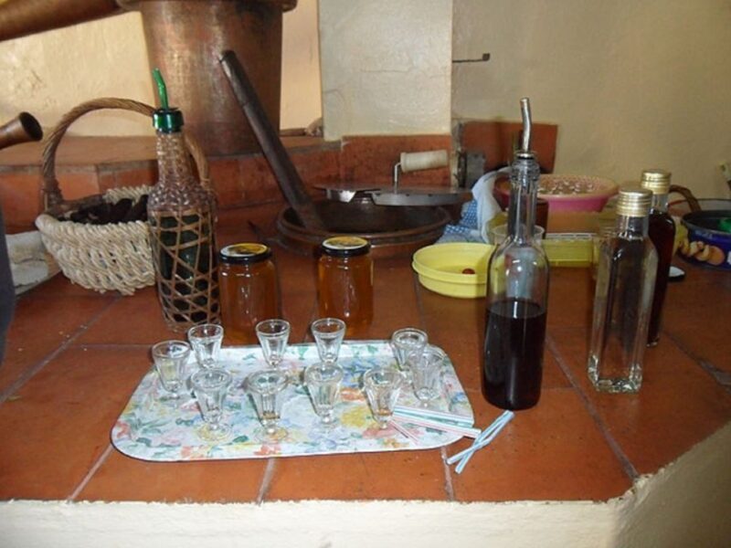 From Albufeira: Half-Day Algarve Jeep Safari - Practical Details and Value for Money