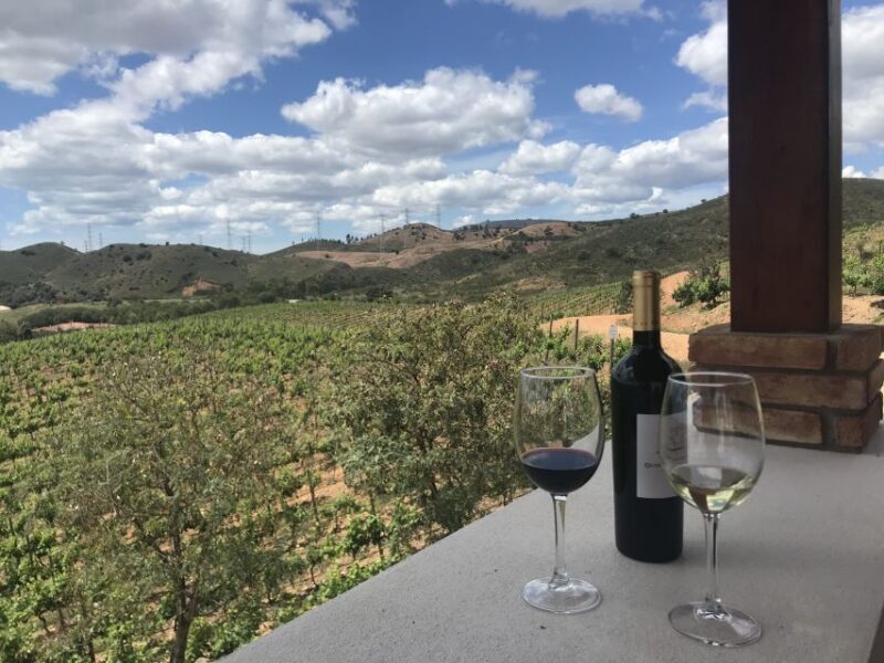 From Albufeira: Half-Day Winery Tour and Silves - FAQ