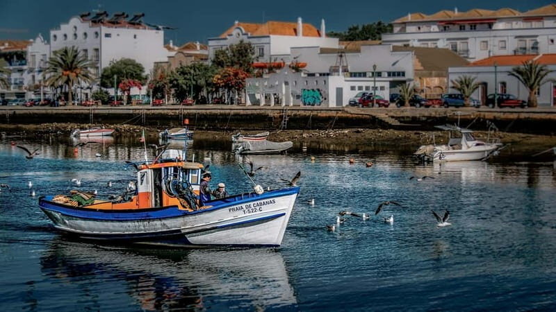 From Albufeira: Loule, Faro, and Tavira Guided Day Trip - Key Points