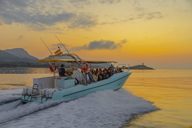From Alcudia: Sunrise Dolphin Watching Boat Tour - FAQ