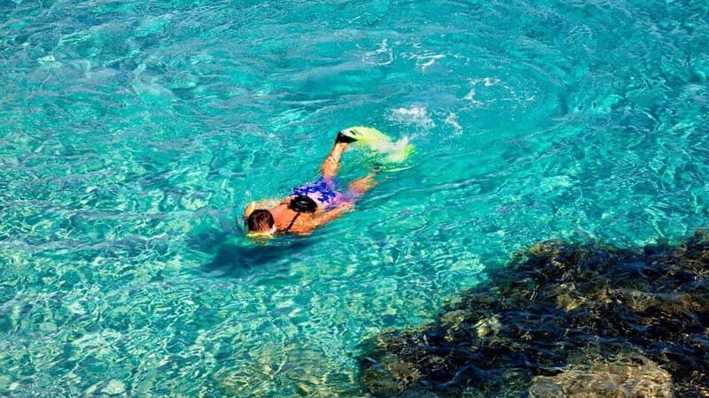 From Alicante/Benidorm: Tabarca Island & Santa Pola Salinas - The Full Experience: A Deep Dive into the Tour