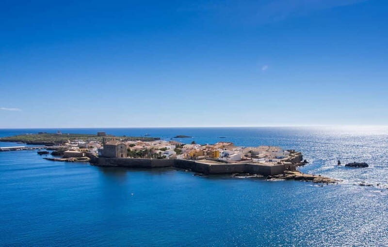 From Alicante/Benidorm: Tabarca Island & Santa Pola Salinas - Who Should Consider This Tour?