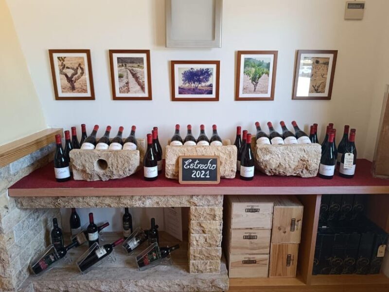 From Alicante ,Benidorm: Winery Tour and Wine Tasting - Who Would Enjoy This Tour?