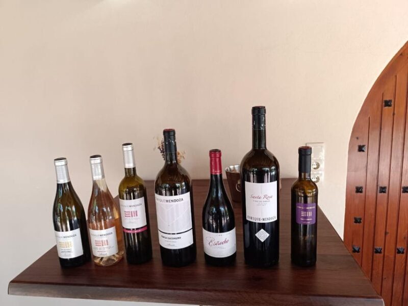 From Alicante ,Benidorm: Winery Tour and Wine Tasting - FAQs