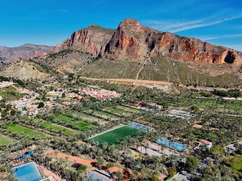 From Alicante: Elche Half-Day of Palms, History & Heritage - A Deep Dive into the Experience