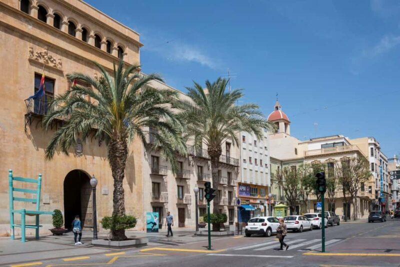 From Alicante: Elche Half-Day of Palms, History & Heritage - Practical Details and Value