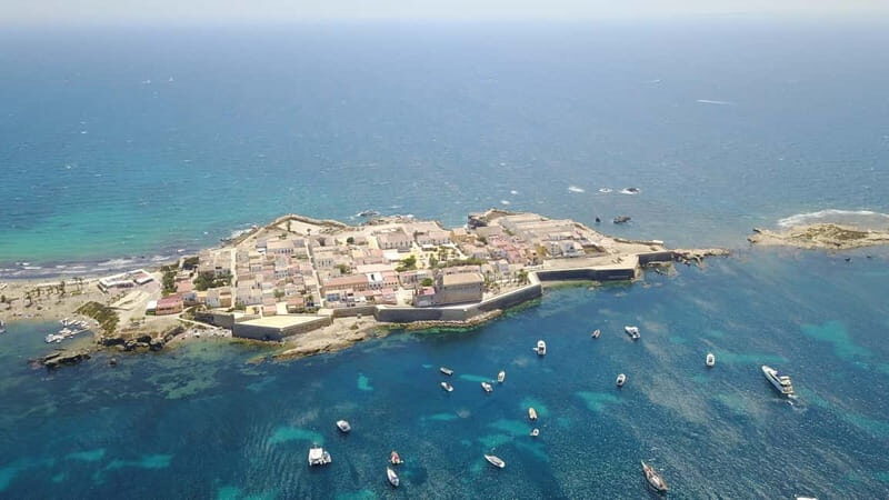 From Alicante: Speedboat tour to Tabarca Island with snorkeling - Return Journey and Additional Views
