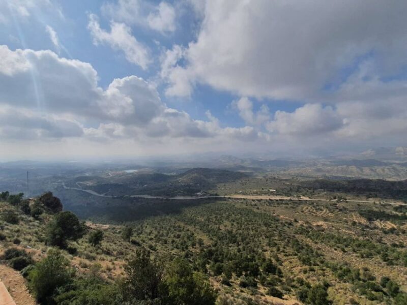 From Alicante: to the caves in Europe, Canelobre. Gidovik - Practical Details & Value