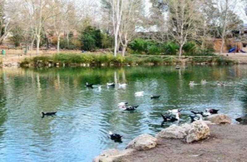 From Alicante visit: Valencia center - Final Thoughts