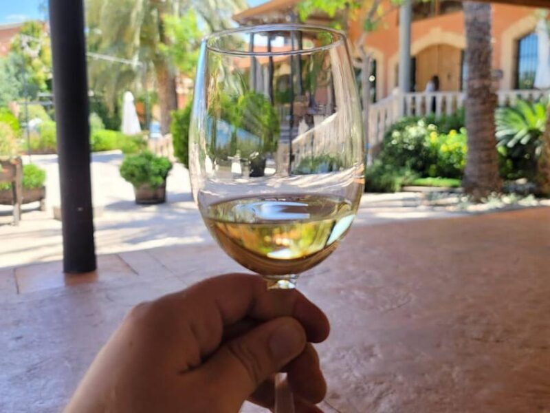 From Alicante: Winery Tour and Wine Tasting with Tapas - A Deep Dive into the Experience