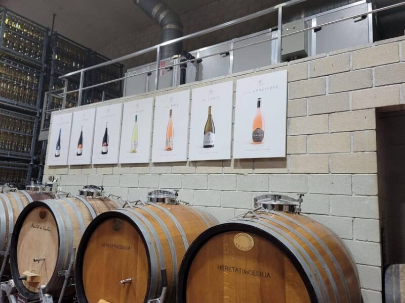 From Alicante: Winery Tour and Wine Tasting with Tapas - Price & Value