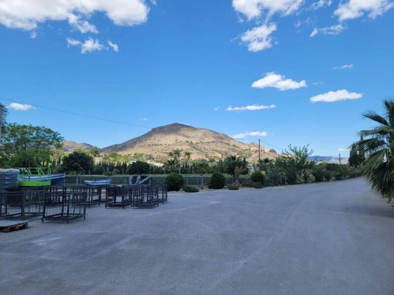 From Alicante: Winery Tour and Wine Tasting with Tapas - FAQ