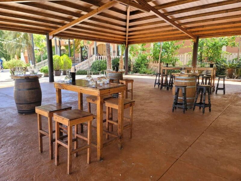 From Alicante: Winery Tour and Wine Tasting with Tapas - Final Thoughts