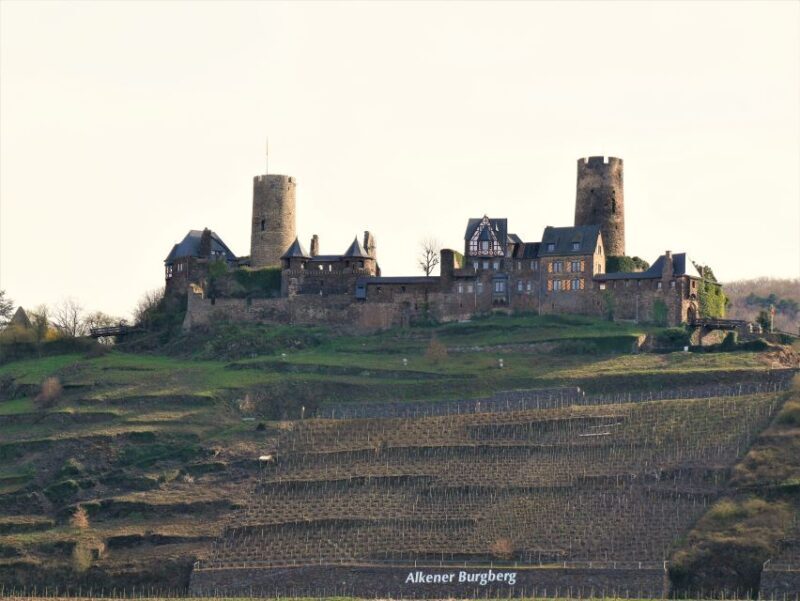 From Alken: Moselle Valley Sightseeing Cruise - The Sum Up: Who Is This Cruise Best For?