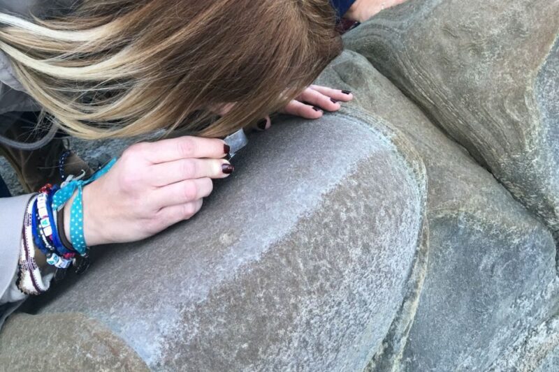 From Almeria: Tabernas Desert 4WD joyriding Tour - Who Will Love This Tour