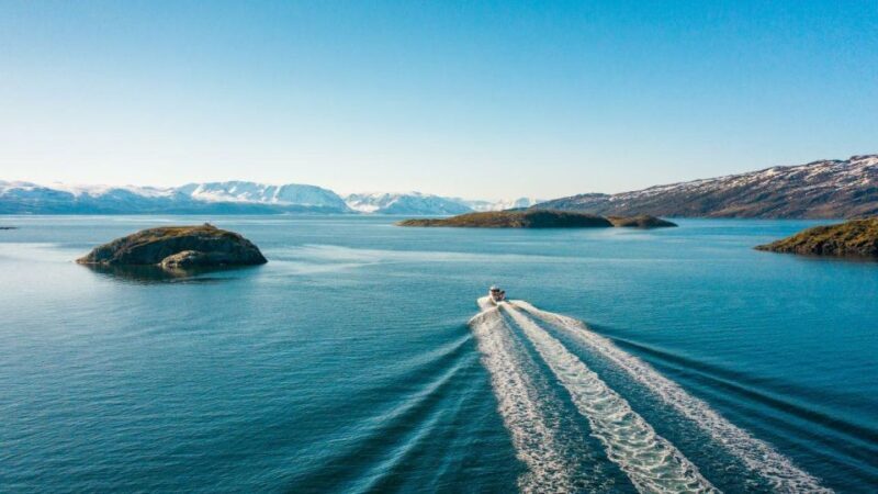 From Alta: Adventure Cruise in Alta Fjord - Key Points
