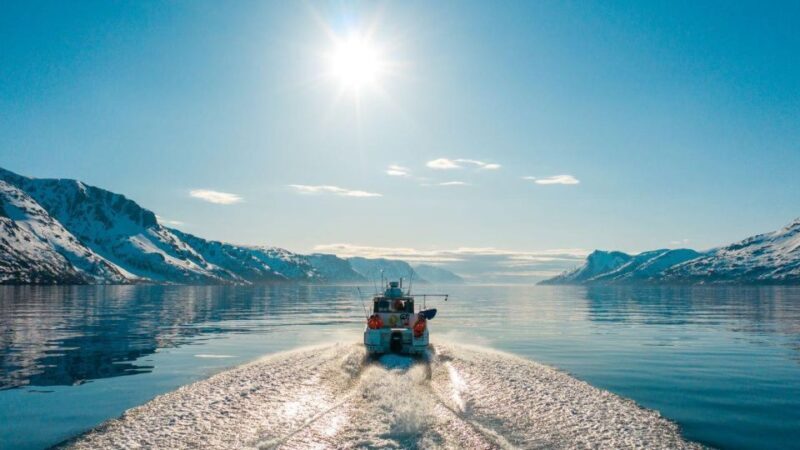 From Alta: Adventure Cruise in Alta Fjord - The Experience: What to Expect from the Alta Fjord Cruise