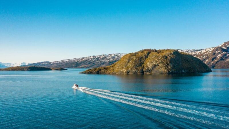 From Alta: Adventure Cruise in Alta Fjord - What’s Included and What You Need to Know