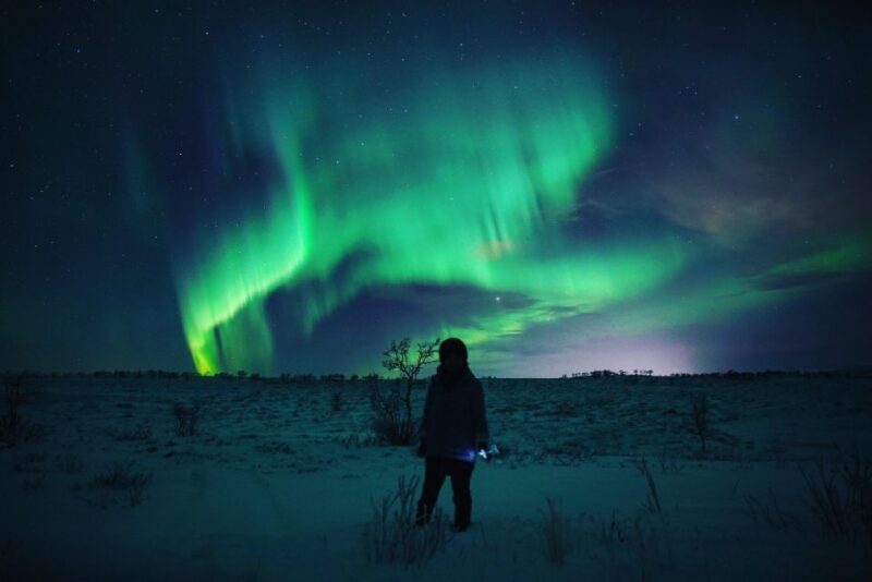 From Alta: Nighttime Northern Lights Spotting Tour - Why This Tour Stands Out