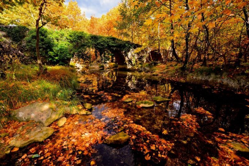 From Amasra: Safranbolu and Amasra Guided Tour with Pickup - Who is This Tour Best For?