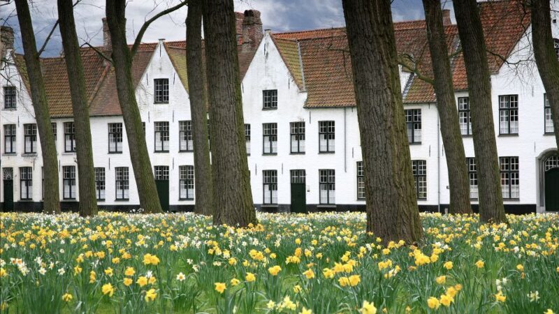 From Amsterdam: Bruges Guided Day Trip in English - Final thoughts