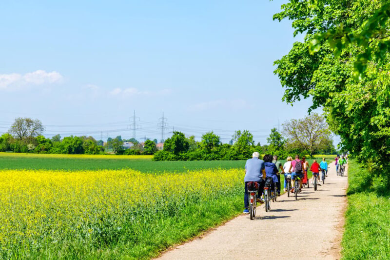 From Amsterdam: Countryside Bike Tour with Cheese Tasting - An In-Depth Look at the Tour