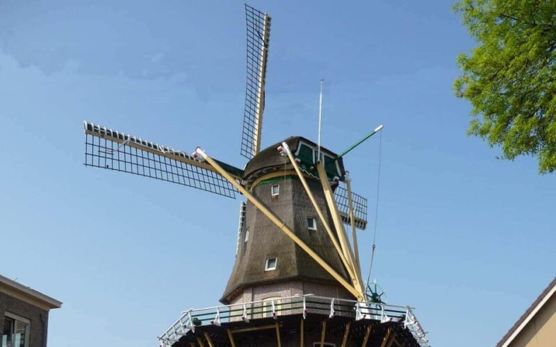 From Amsterdam: Countryside Bike Tour with Cheese Tasting - Considerations and Who Should Avoid