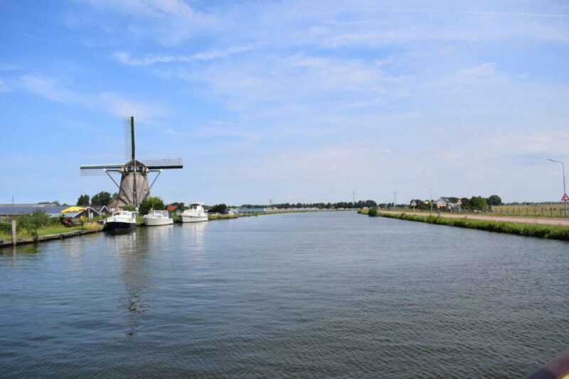 From Amsterdam: Holland Flower and Windmill Tour - summer ed - Who Will Love This Tour?