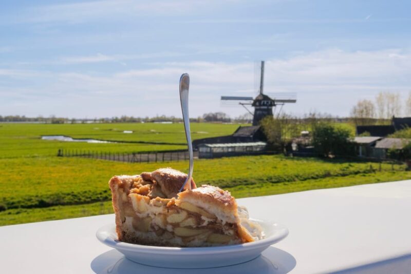 From Amsterdam: Holland Flower and Windmill Tour - summer ed - The Sum Up
