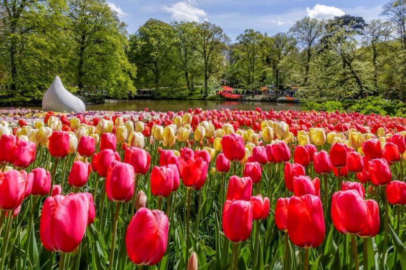 From Amsterdam: Keukenhof and Dutch Countryside Tour - Exploring the Dutch Countryside: A Detailed Look at the Keukenhof and Village Tour from Amsterdam