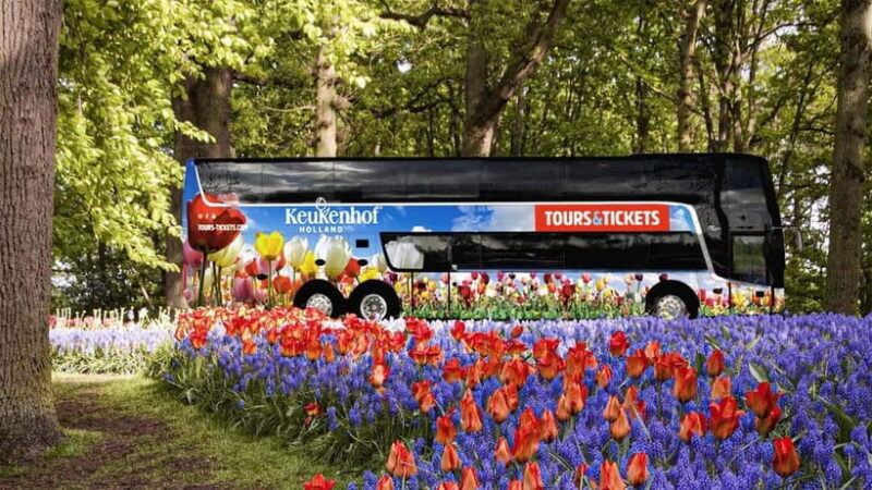From Amsterdam: Keukenhof Shuttlebus and Entry Ticket - The Itinerary Breakdown: What to Expect