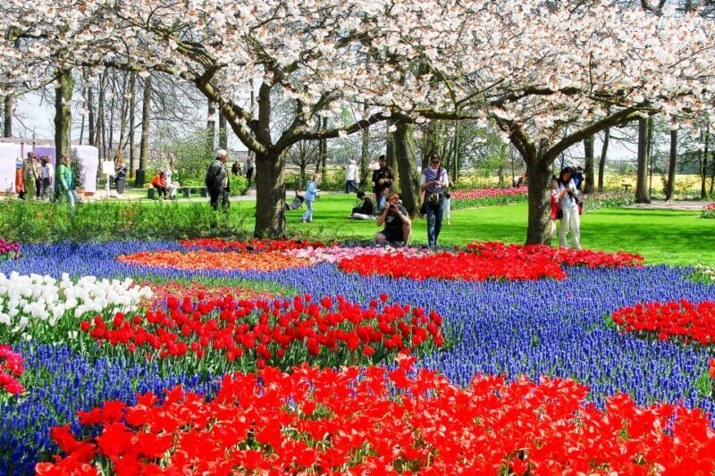 From Amsterdam: Keukenhof Shuttlebus and Entry Ticket - FAQ