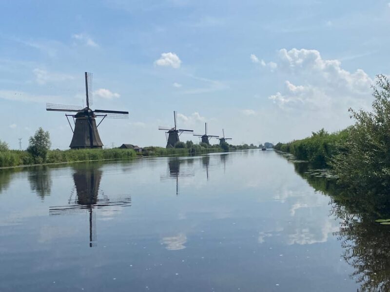 From Amsterdam: Kinderdijk, Delft & Mauritshuis Private Tour - The Artistic Masterpieces at Mauritshuis in The Hague