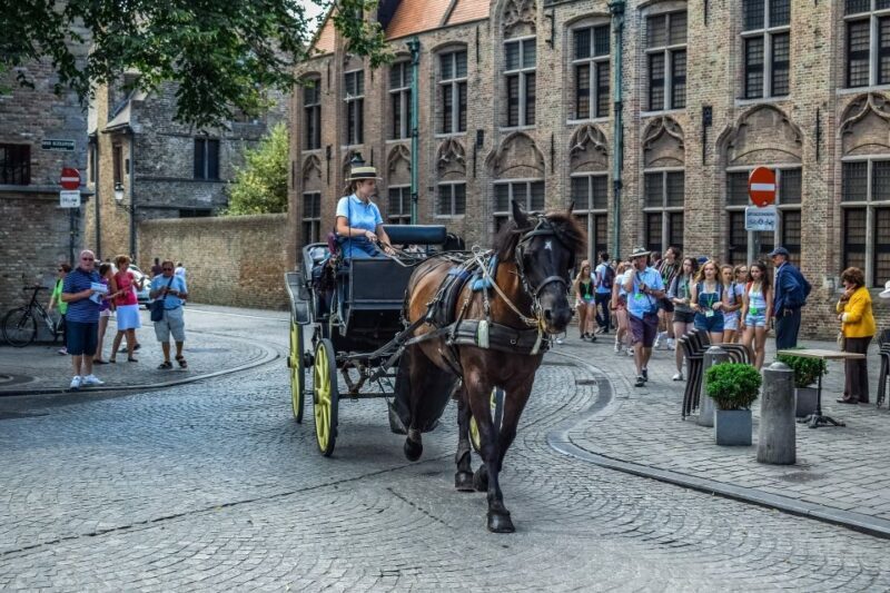 From Amsterdam: Private Sightseeing Tour to Bruges - Who Should Consider This Tour?