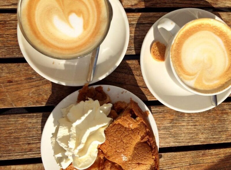 From Amsterdam: Tulip Fields of Holland Tour - A Deep Dive into the Tulip Fields of Holland Tour