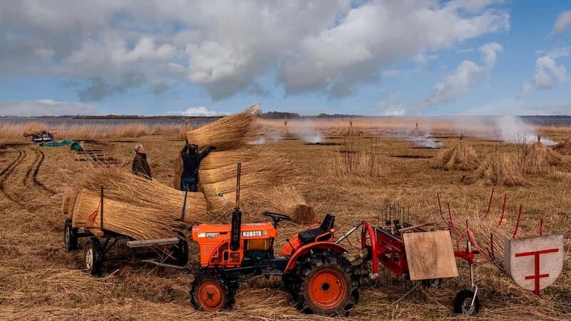 From Amsterdam: Zaanse Schans and Giethoorn Countryside Trip - Key Points