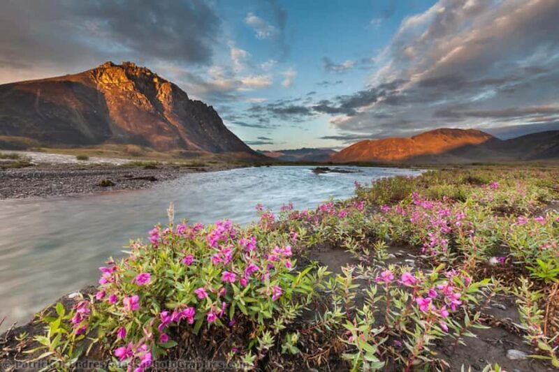 From Anchorage: 6-Day Best of Grand Alaska Highlights Tour - Key Points